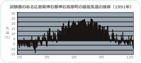 ひめの