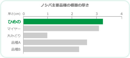 ひめの