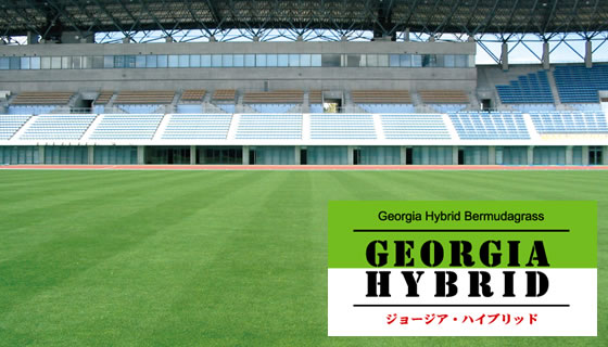 ジョージア・ハイブリッド